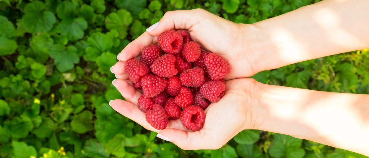 Fantastic Foods for Boosting Your Skin's SPF