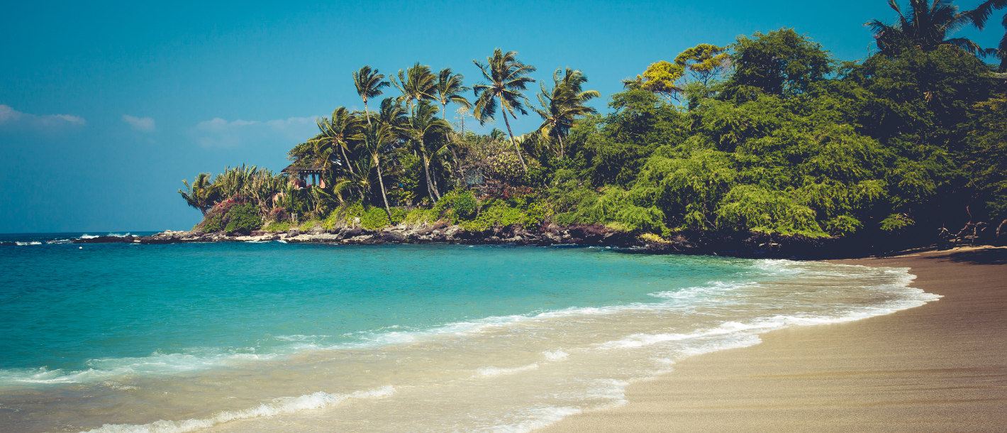 image of hawaiian beach