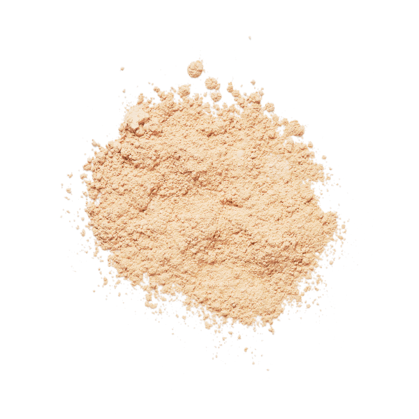 Brush On Block Translucent Mineral Powder Sunscreen SPF 50