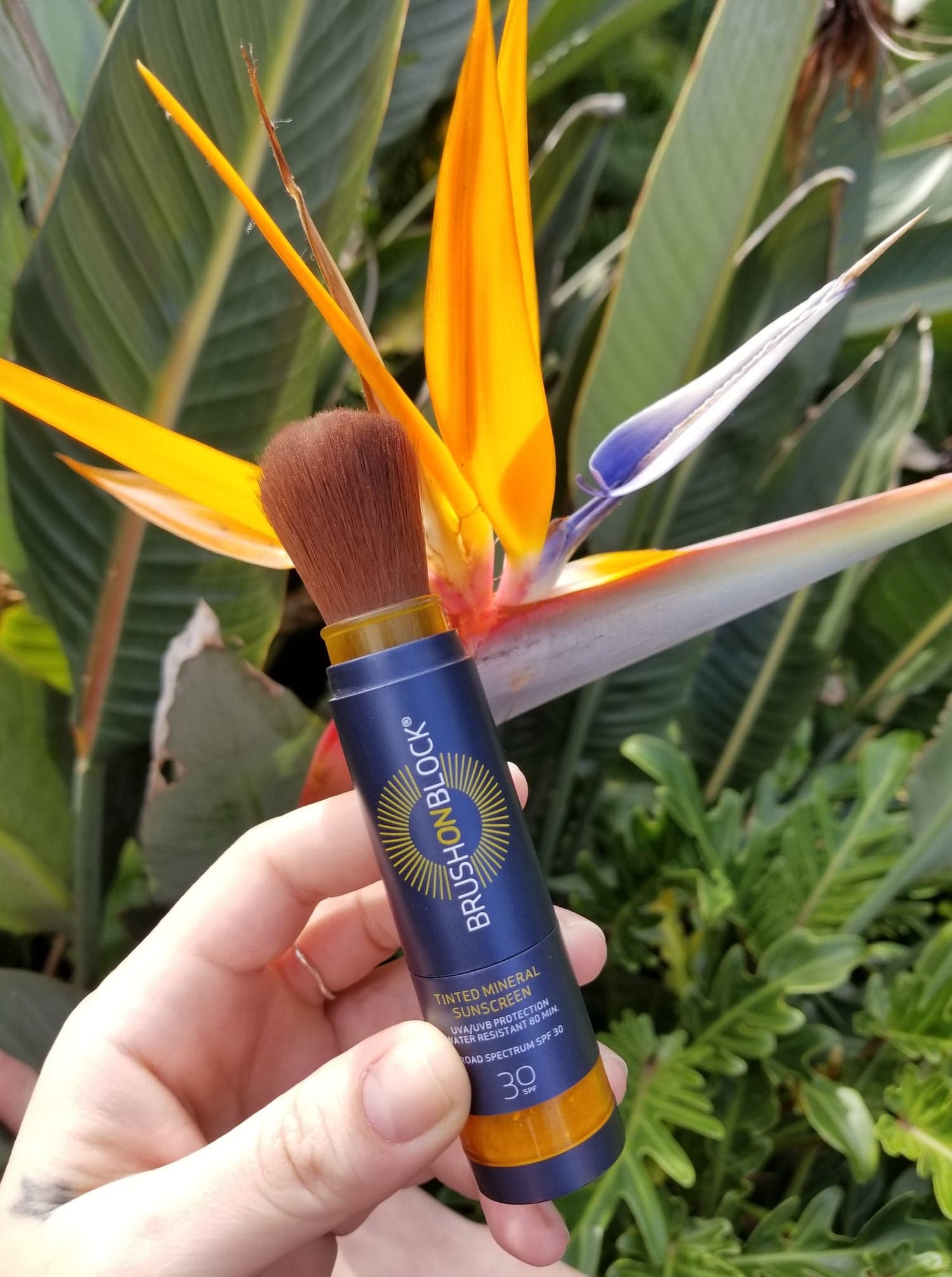 Brush On Block® being held near a bird of paradise flower.