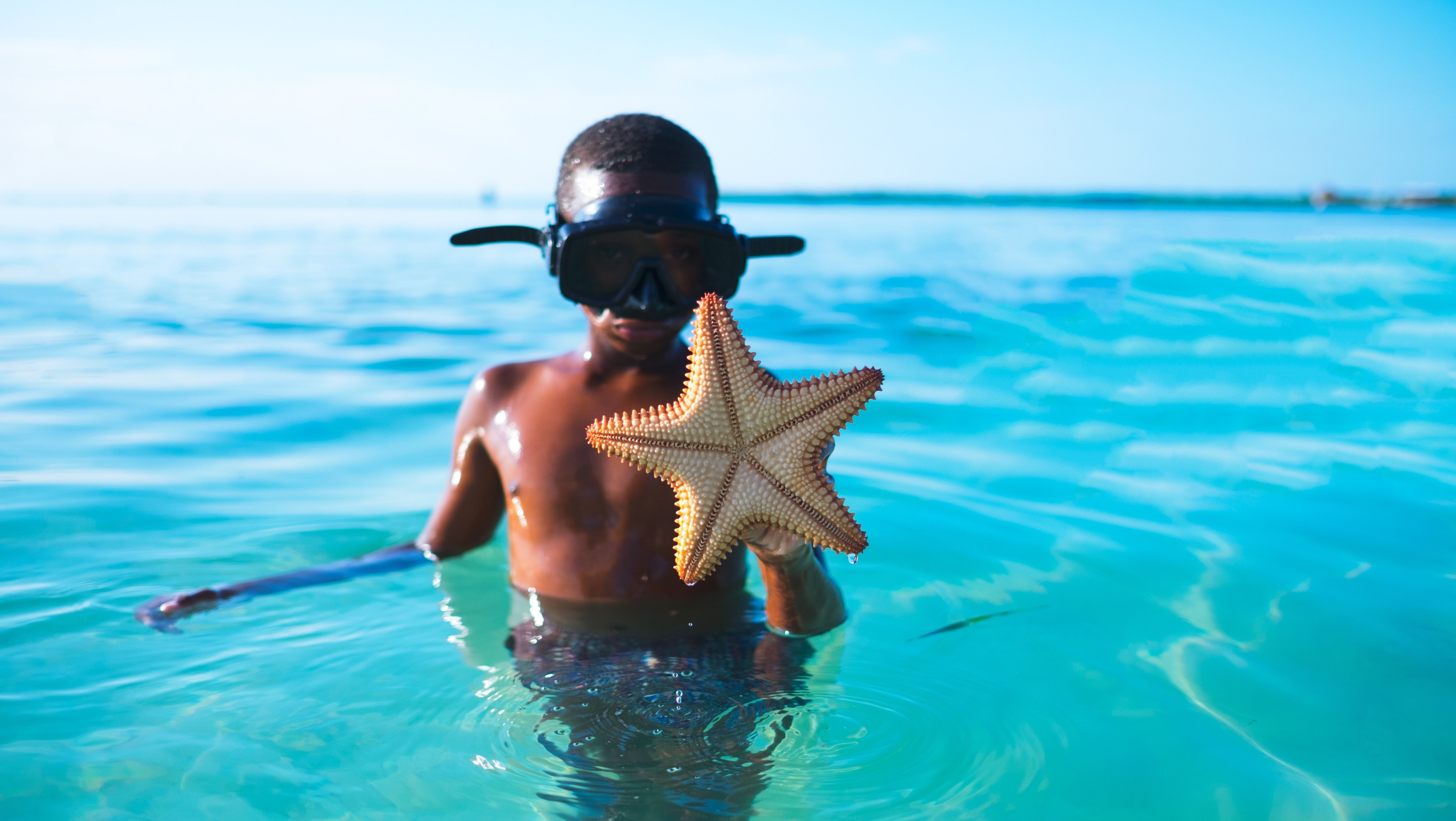 Brush On Block image of boy snorkeling with starfish