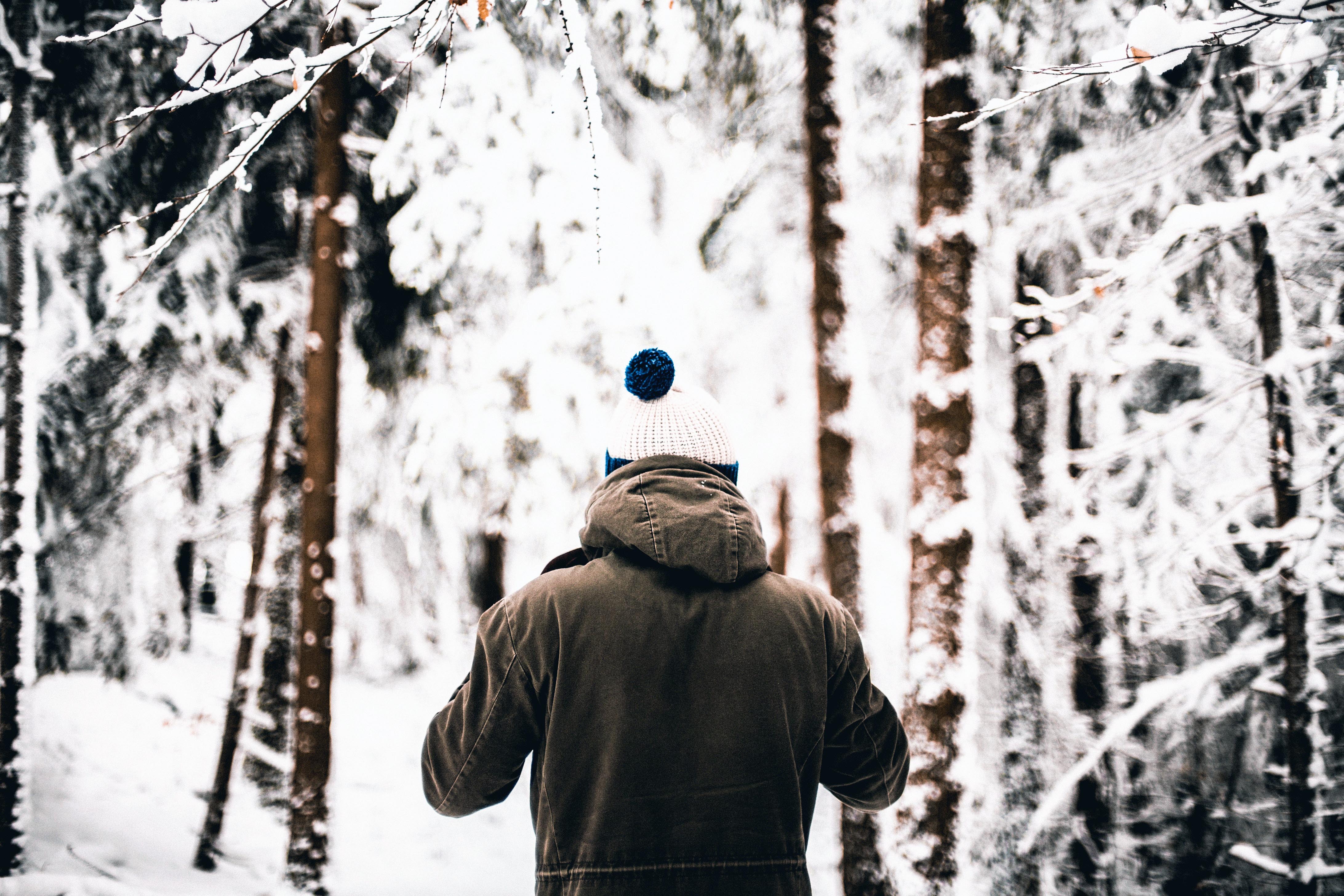 Brush On Block image of back view of man in snow.